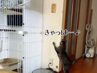 ひっそりしっかり悪い子彩ちゃん。