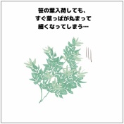 【花屋さんに聞いた！】七夕あるある🎋⭐️
