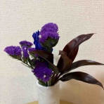 ひろこのひとりごと