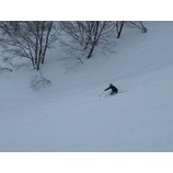 ��¿�̤ʥ����Ǥ����ѥå��ǳ��Ԥ����ޤ��礦���٤β���