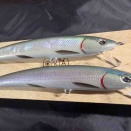 ORA Minnow LTG135 姫鱒鱗皮貼り& 夜光貝