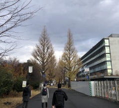 相模女子で学会発表