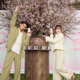 『キリンビール、桜舞う「一番搾り」春限定缶でイベントやキャンペーン』の画像