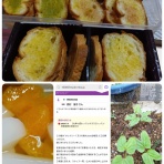 終活記録