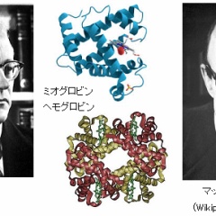 サイエンスジャーナル