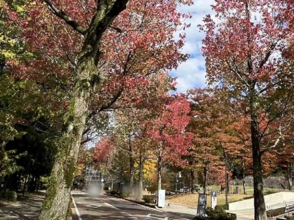 【金沢イベント】今週末（11月8日～9日）に開催される『イベント』まとめ。【最新版】