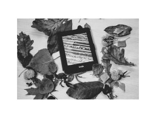 【メモ】今月の「Kindle月替わりセール」（2025年12月分）