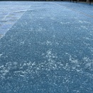 琵琶湖は初雪、勉強会第二弾♪