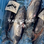 れストラン ゆず庵BLOG