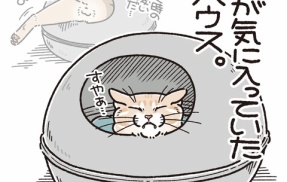 劇的ビフォーアフター