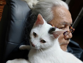 100パーセント プン