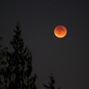 3/3の皆既月食のロケハンはプロキオンを使ってやりましょう