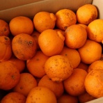 専業主婦まさきの一日