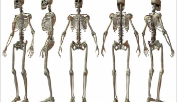 人間の身体のつくりで欠陥だと思うところ