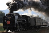 『2020/1/2運転 D51-200牽引SL津和野稲成号』の画像