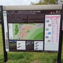 【日本】さくらの里