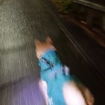 柴わんこと暮らす日々