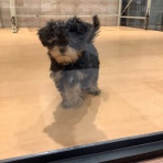 神奈川県 ワンラブ LICOPA川崎店のスタッフブログ