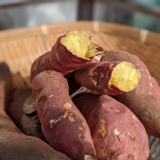 かなざわ速報 - 石川県金沢市の地域情報サイト