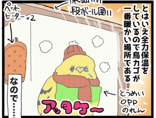 カゴの外は、寒いからやだ🦜