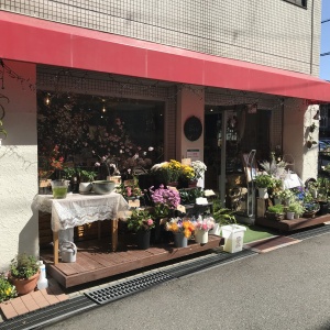 宝塚へドライブ再び 花屋つくしさんへ 水彩的生活kurokawaの透明水彩画