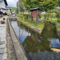 金山町の散策と、大和ルージュという発見。