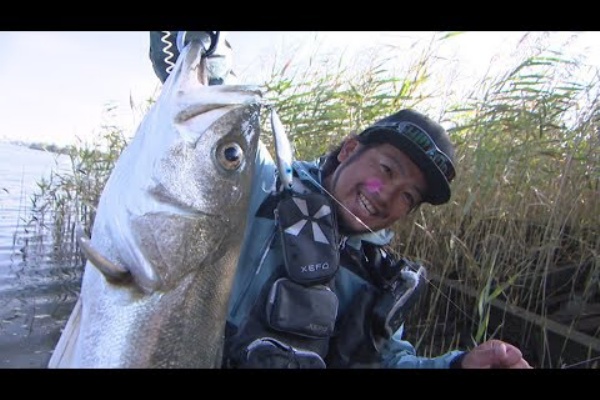 釣り動画チャンネル 鈴木斉