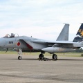 第306飛行隊の記念塗装機