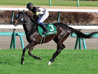 ペアポルックス（26/02/28・第21回 オーシャンステークス・中山競馬場）