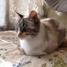 大晦日は徹夜の例年にない一夜・・・。