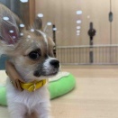 初めまして‼︎