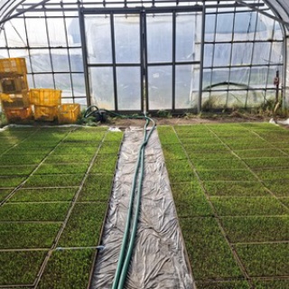 鳥海の麓 「北村くらた農園」より愛を米て。　