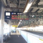 ジャスティスと愉快な仲間達!