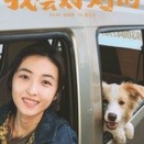 ★「我会好好的」映画#73 女性と犬の友情の物語 出演する犬が何かへん
