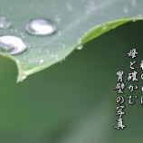 『第75回一関地方短歌大会』の画像