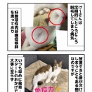 好酸球性肉芽腫症候群