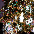 『KAMLANで撮る「南町田グランベリーパーク」　2022/02/12』の画像