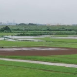 『冠水が予想される為、明日17日(日)は全面中止となりました』の画像