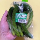 🦊漬物三昧