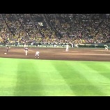 『甲子園ビジター席の雰囲気ｗｗｗｗｗｗｗｗｗｗ』の画像