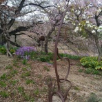 水彩画家・長尾周二オフィシャルブログ(SHUJI NAGAO official blog)