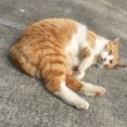 義実家は兄弟間のお年玉は廃止したんだけど、義弟嫁がそのことについて文句を言ってくる。「あなたが義兄家からのお年玉の金額にケチつけたのがきっかけなんだよ」と指摘したが・・・