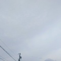 土が乾いたから