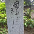 坂道散歩（新八柱駅→高柳駅）