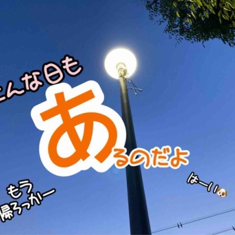 ワンオペ散歩