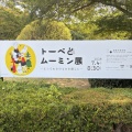 8月の記録