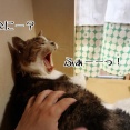 なんか早くない？季節の変わり目？