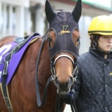 『【遠征馬情報】4/22(日)水沢・留守杯日高賞〔M1〕に、ホッカイドウ競馬から②エグジビッツ⑥プリムラジュリアンが参戦!』の画像