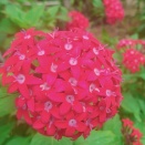 １２月６日は何の日？