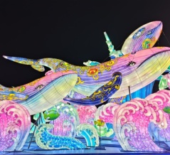 東京ドイツ村のイルミネーション２０２５の感想。